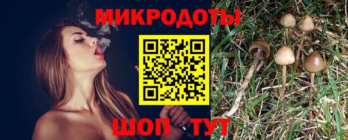 Псилоцибиновые грибы Magic Shrooms  Вход с VPN  Псилоцибиновые грибы мицелий  Татарск 