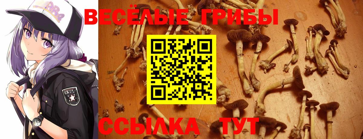Меф МЯУ МЯУ кристаллы  МЕФ  Канабис  КЕТАМИН  Гашиш  Татарск  Лсд 25  COCAIN  Вход с VPN  МАРИХУАНА 